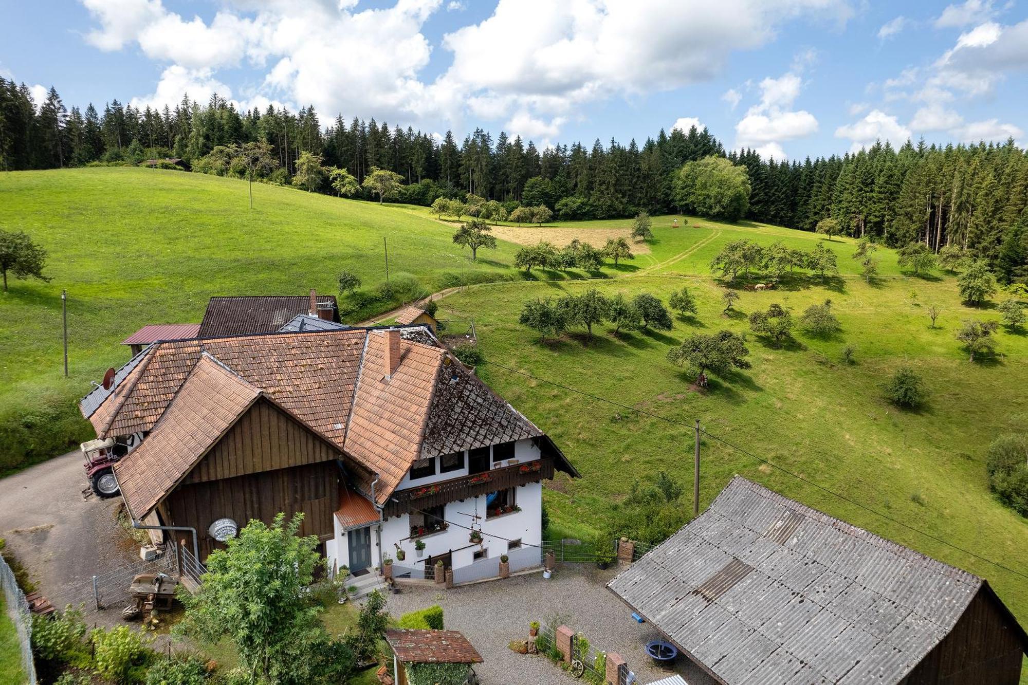 Ferien Auf Der Fleischdielte Mühlenbach Exterior foto
